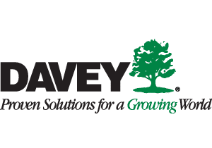 Davey